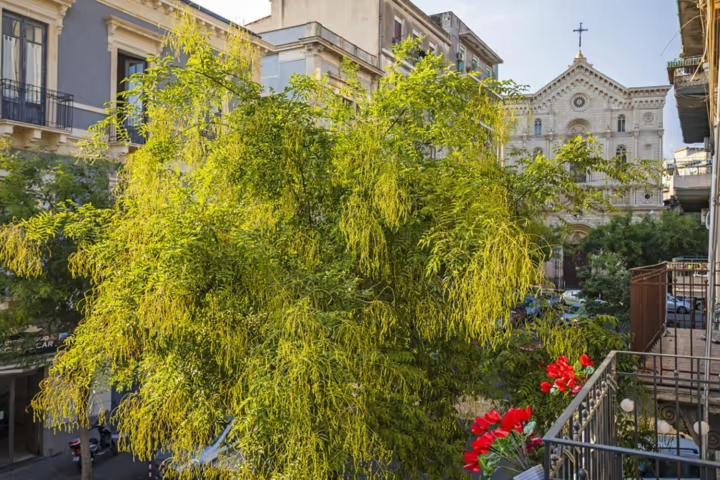 卡塔尼亚L'Angelo Di Casa Mia公寓 外观 照片